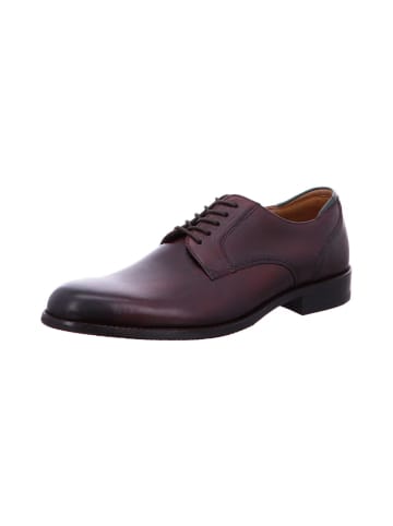 Clarks SHOES "CraftArlo" in Braun