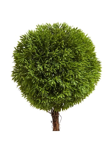 Butlers Buchsbäumchen im Topf FLORISTA in Grün