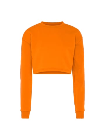 NALLY Sweatshirt in Orange