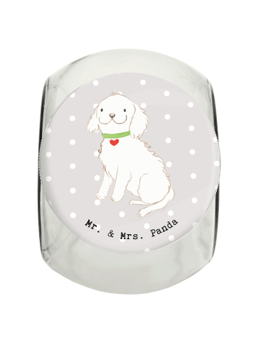 Mr. & Mrs. Panda Dose Bolonka Zwetna Lebensretter ohne Spruch in Grau Pastell