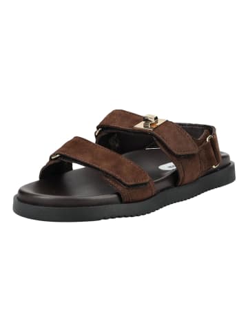 Steve Madden Sandalen in Dunkelbraun