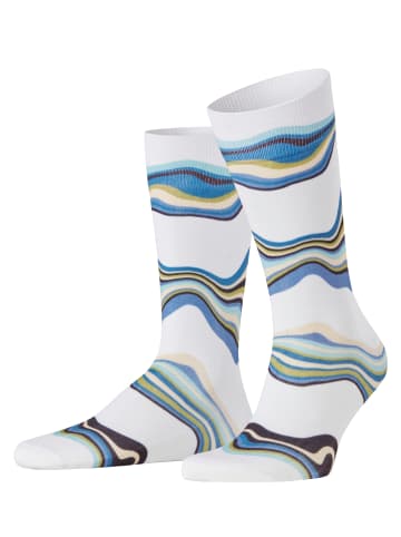 Falke Malecon Socke in Woolwhite