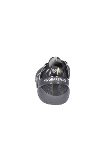 VIVOBAREFOOT Schnürschuh in grau
