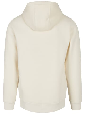 STARTER Sweat & Fleece - Hoodies in palewhite