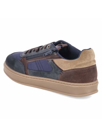 Bullboxer Low Sneaker in blau