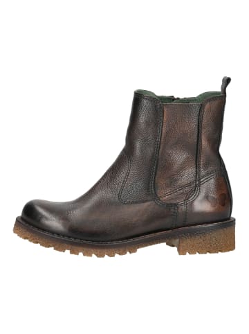 Felmini Stiefelette CASTER Cognac