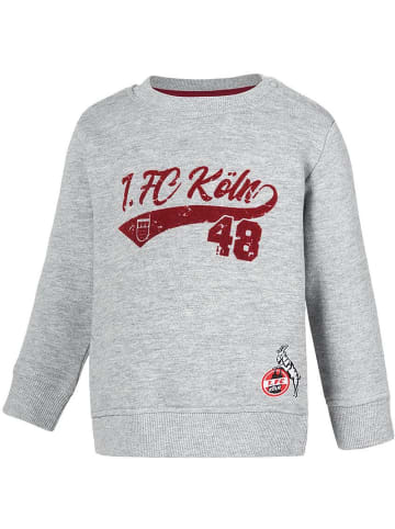 Fußballverein 1. FC Köln Kinder Sweatshirt "Sweatshirt Constantinstraße" in Grau