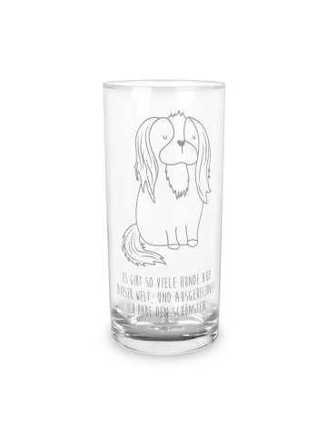 Mr. & Mrs. Panda Glas Hund Cavalier King Charles Spaniel mit Spruch in Transparent