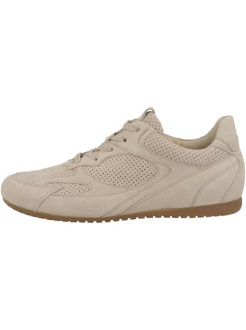 Gabor Sneaker low 86.565 in beige