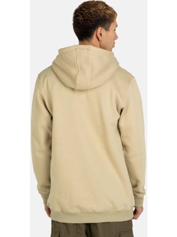 Reell Hoodie "Air Hoodie" in Grün