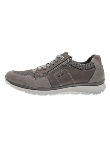 ara Komfort Schnürschuh in grau