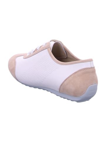 Semler Schnürschuhe in Beige