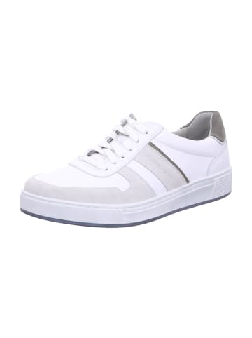 Pius Gabor Herren Schnürschuh in white/off-white/salv