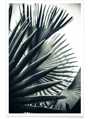 Juniqe Poster "Palm Shade 2" in Grau & Grün