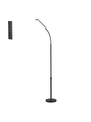 VASAGLE Stehleuchte Island in Schwarz - (B)22 x (H)(141-175) x (T)22 cm