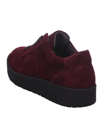 WALDLÄUFER Sneaker für Damen in bordeaux
