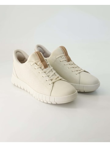 Geox Slip On Sneaker in Beige