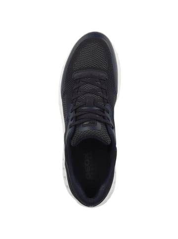 Geox Sneaker low U Outstream A in dunkelblau