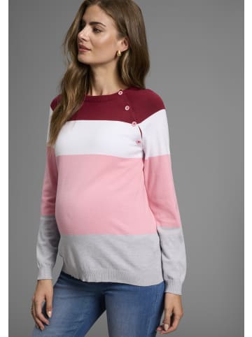 neun 9 monate Strickpullover in bordeaux geringelt