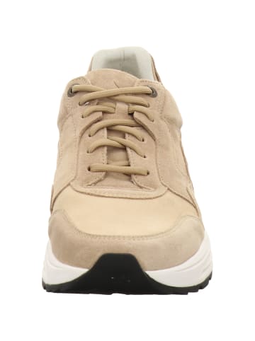 Xsensible Sneaker Low in beige