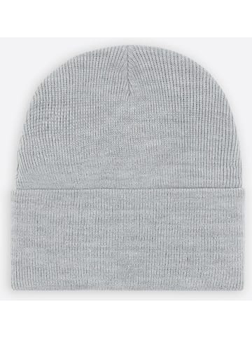 Dickies Mütze "Acrylic Cuffed Beanie" in Grau