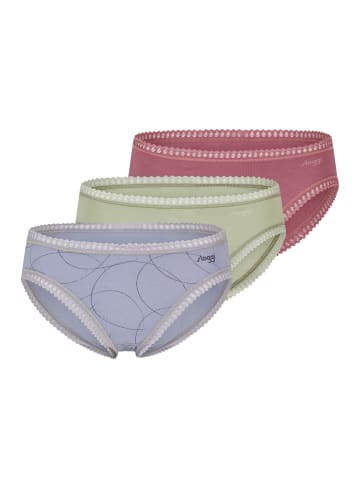 Sloggi Hipster GO Crush in Lila / grün / blau