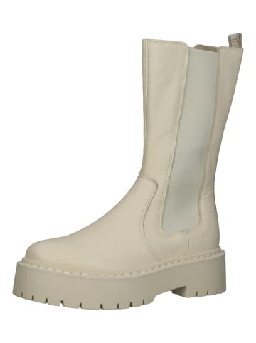 Steve Madden Stiefel in Bone