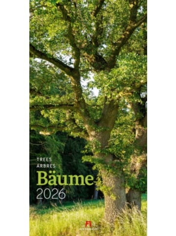 Ackermann Kunstverlag Kalender - Bäume Kalender 2026