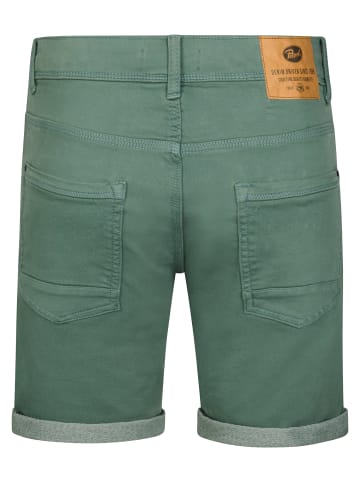 Petrol Industries Jackson Farbige Denim-Shorts Coconut in Grün
