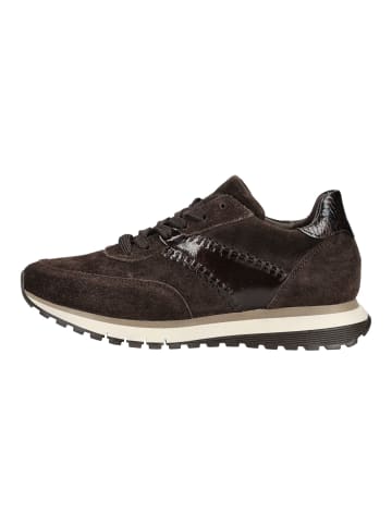 Gabor Sneaker in Mocca