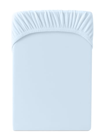 Cats Collection Spannbetttuch Edel-Jersey in hellblau