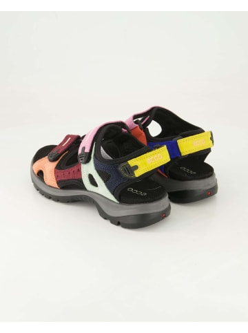 Ecco Sandalen in Mehrfarbig