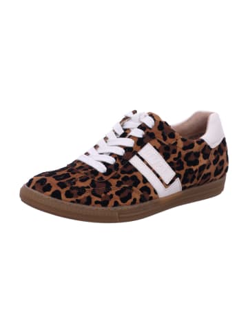 Paul Green Damen- Schnürschuhe  in Braun