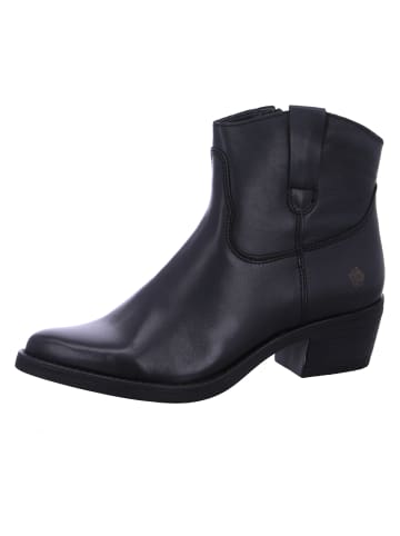 Apple of Eden Stiefel  in Schwarz