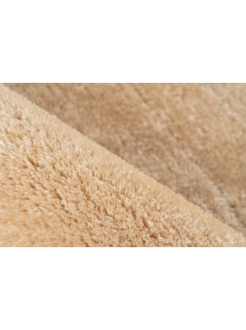 Vivorum Vivorum Neu 2026 Wohnzimmer Hochflor Teppich Cove 125 beige in beige