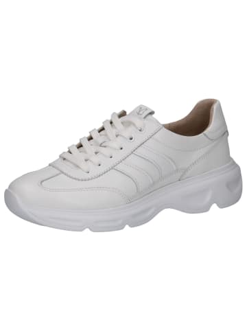 Caprice Sneaker in WHITE NAPPA