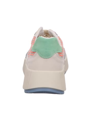 Post XChange Sneaker in bunt