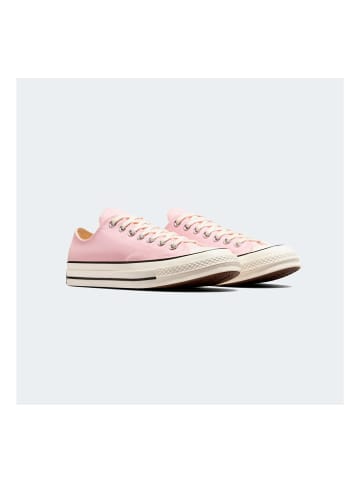 Converse Turnschuhe Chuck in 692-PINK FROSTING/EGRET/BLACK