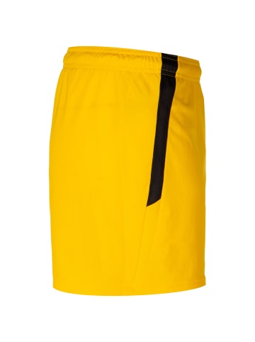 Puma Trainingsshorts TeamLIGA in neongelb / schwarz