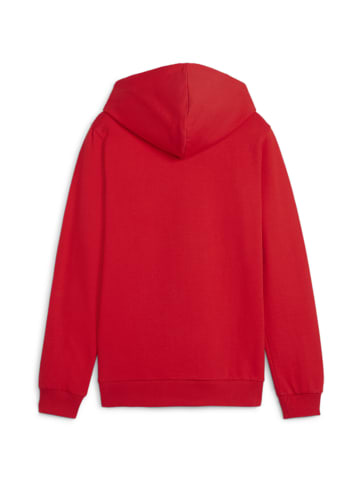 Puma Sweatshirt teamGOAL Casuals Hoody Jr in rot