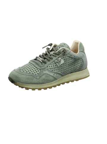 Cetti Sneaker Low in Grün