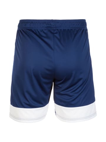 adidas Performance Funktionsshorts Tastigo 19 in dunkelblau / weiß