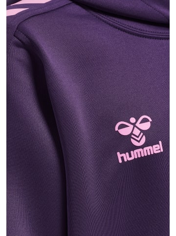 Hummel Hummel Verstellbare Taille Kapuzenpullover Hmlcore Kinder in ACAI