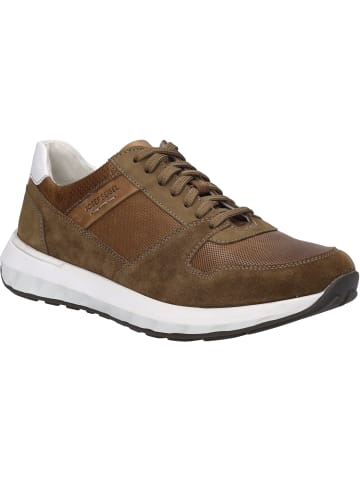 Josef Seibel Sneaker Cameron 10 in braun