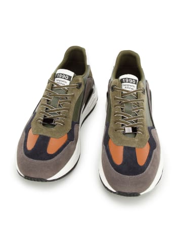 Wittchen Sneakers - premium brand leather shoes in Multicolor