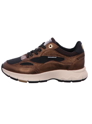 Floris van Bommel Schnürschuh in braun