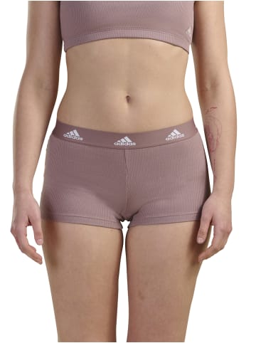 adidas Boxer Fast Dry in wonder oxid