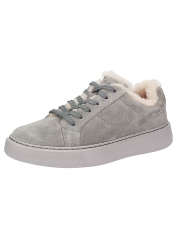 Sioux Sneaker Tils sneak-D 005-LF in grau