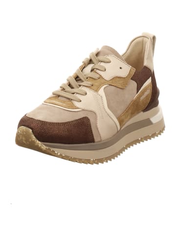 Mephisto Sneaker Low in braun