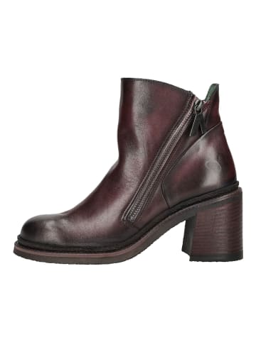 Felmini Stiefelette in Bordeaux